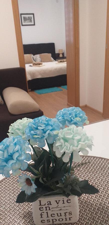 Apartman Golubovic Veliko Gradište Esterno foto